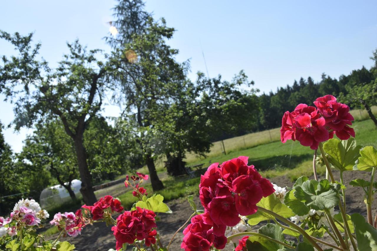 Nowa Kamienica 11 Villa Stara Kamienica Dış mekan fotoğraf