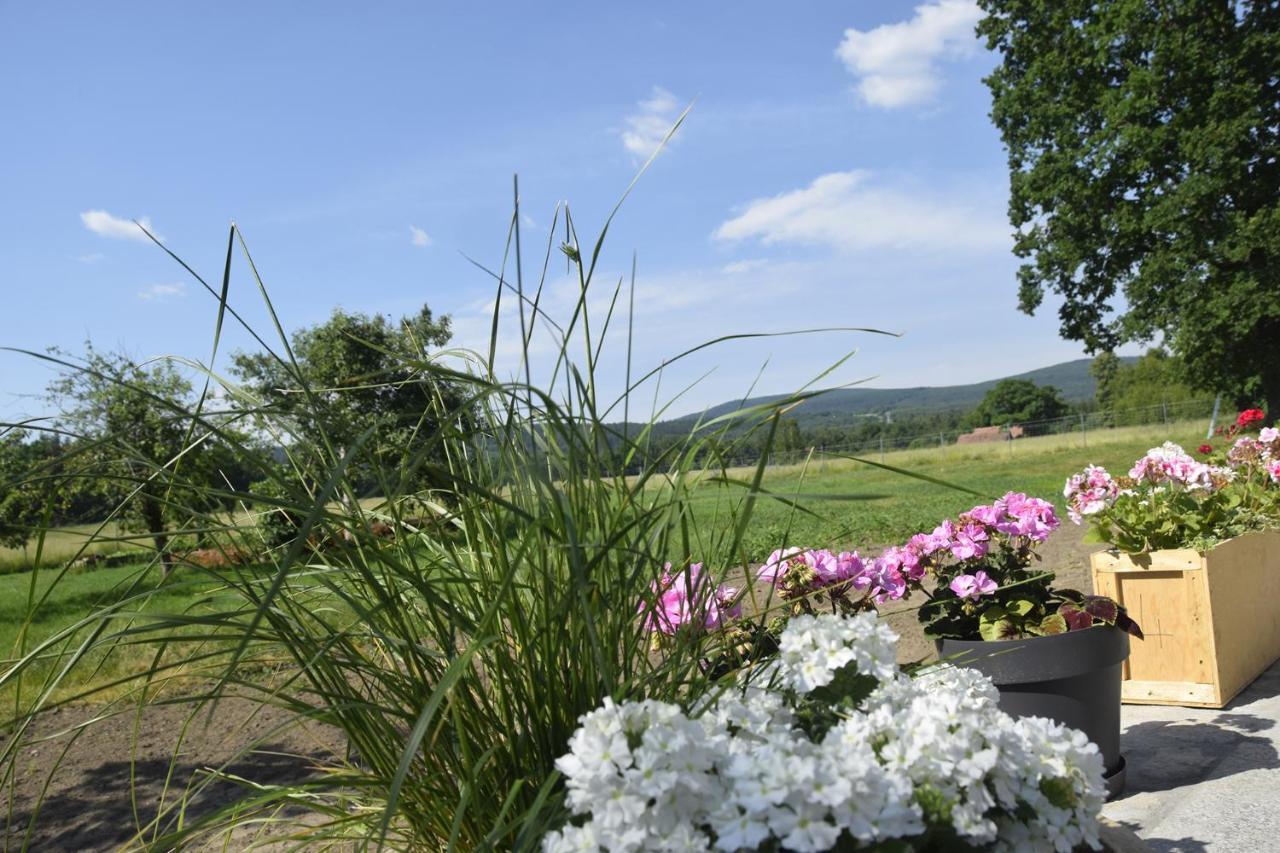 Nowa Kamienica 11 Villa Stara Kamienica Dış mekan fotoğraf