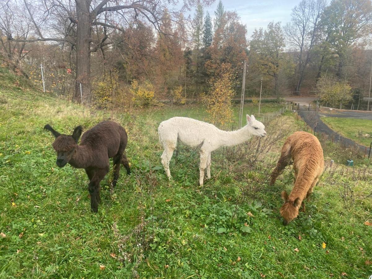 Nowa Kamienica 11 Villa Stara Kamienica Dış mekan fotoğraf